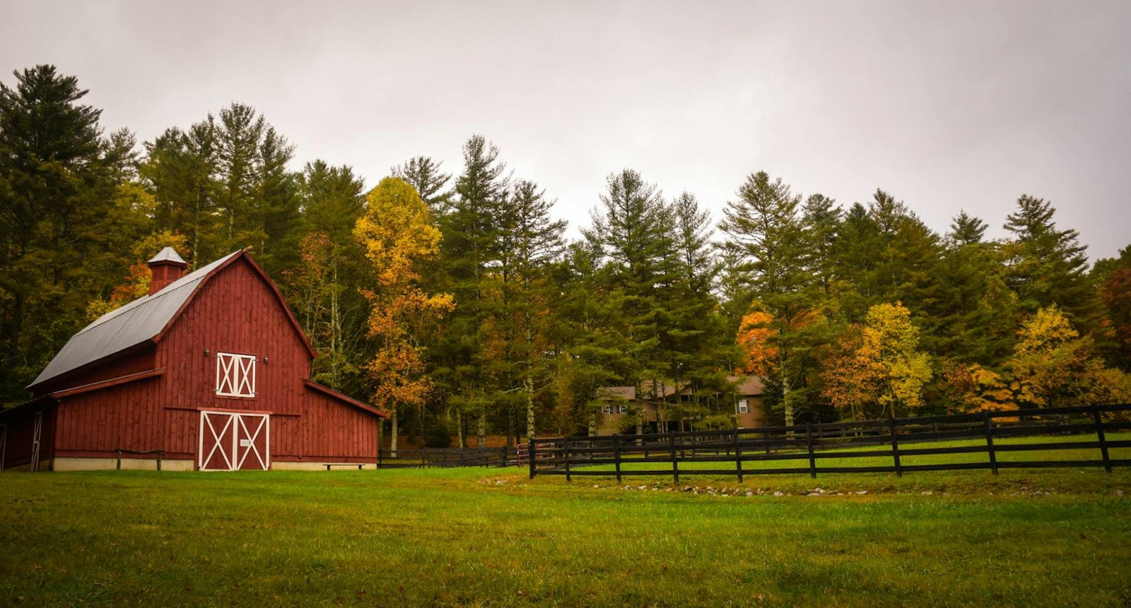Invernadero de hortaliza