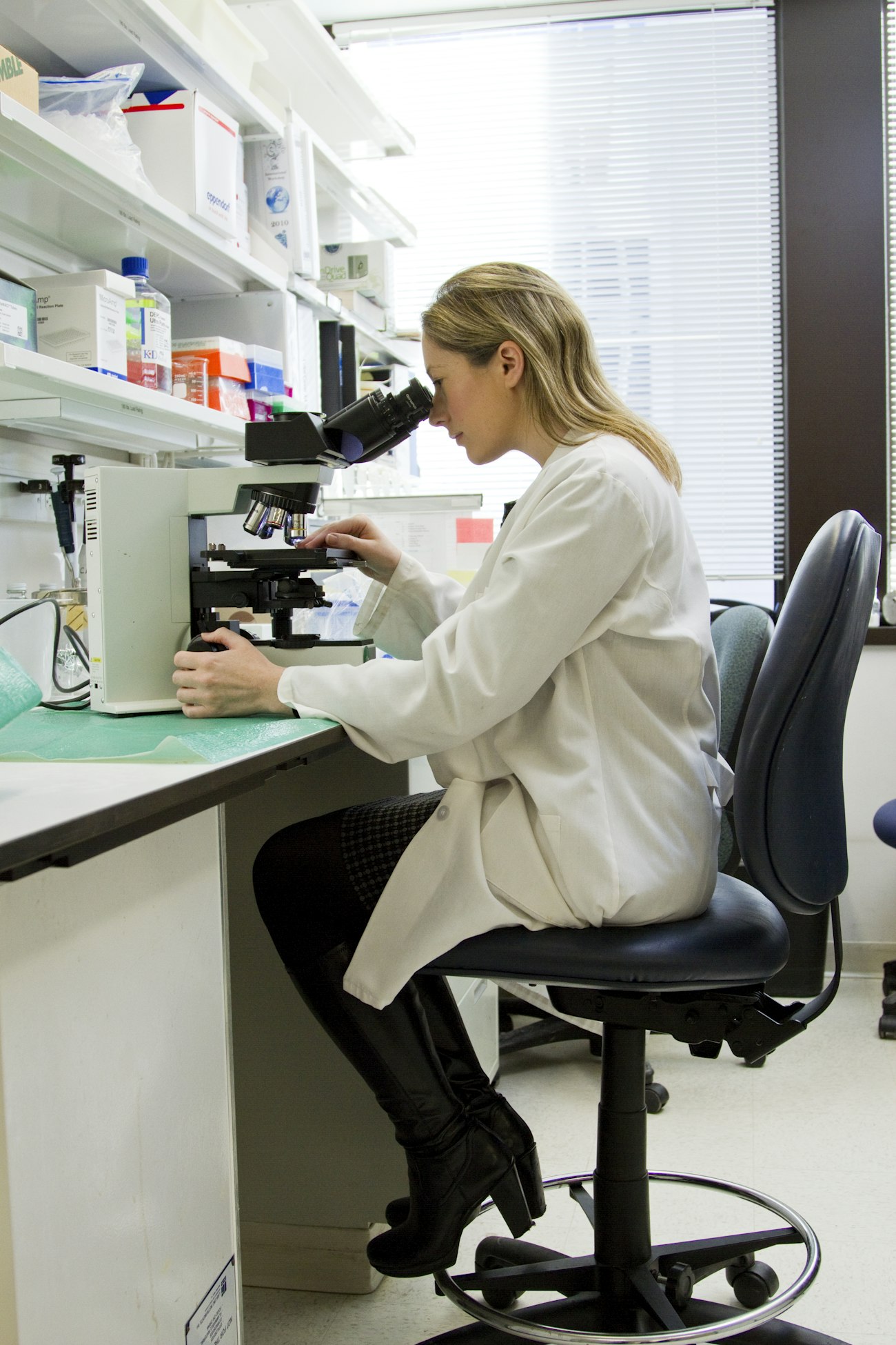 Laboratorio agronómico
